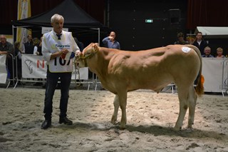 Pion Navarro cat.nr.107 res.kamp.mnl. tot 1 jaar