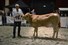 Pion Navarro cat.nr.107 res.kamp.mnl. tot 1 jaar