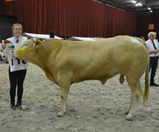 Mathijs cat.nr.118 res.kamp.mnl 1 tot 3 jaar