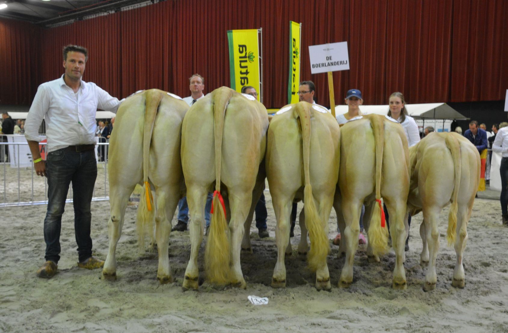 Bedrijfsgroepen op de NVM