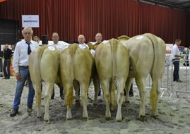 Bedrijfsgroep Bakersfield