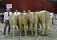 Bedrijfsgroep Bakersfield