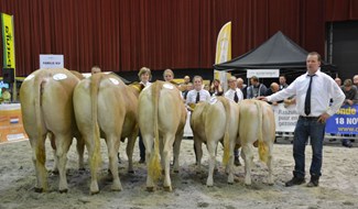 Bedrijfsgroep fam.Kip