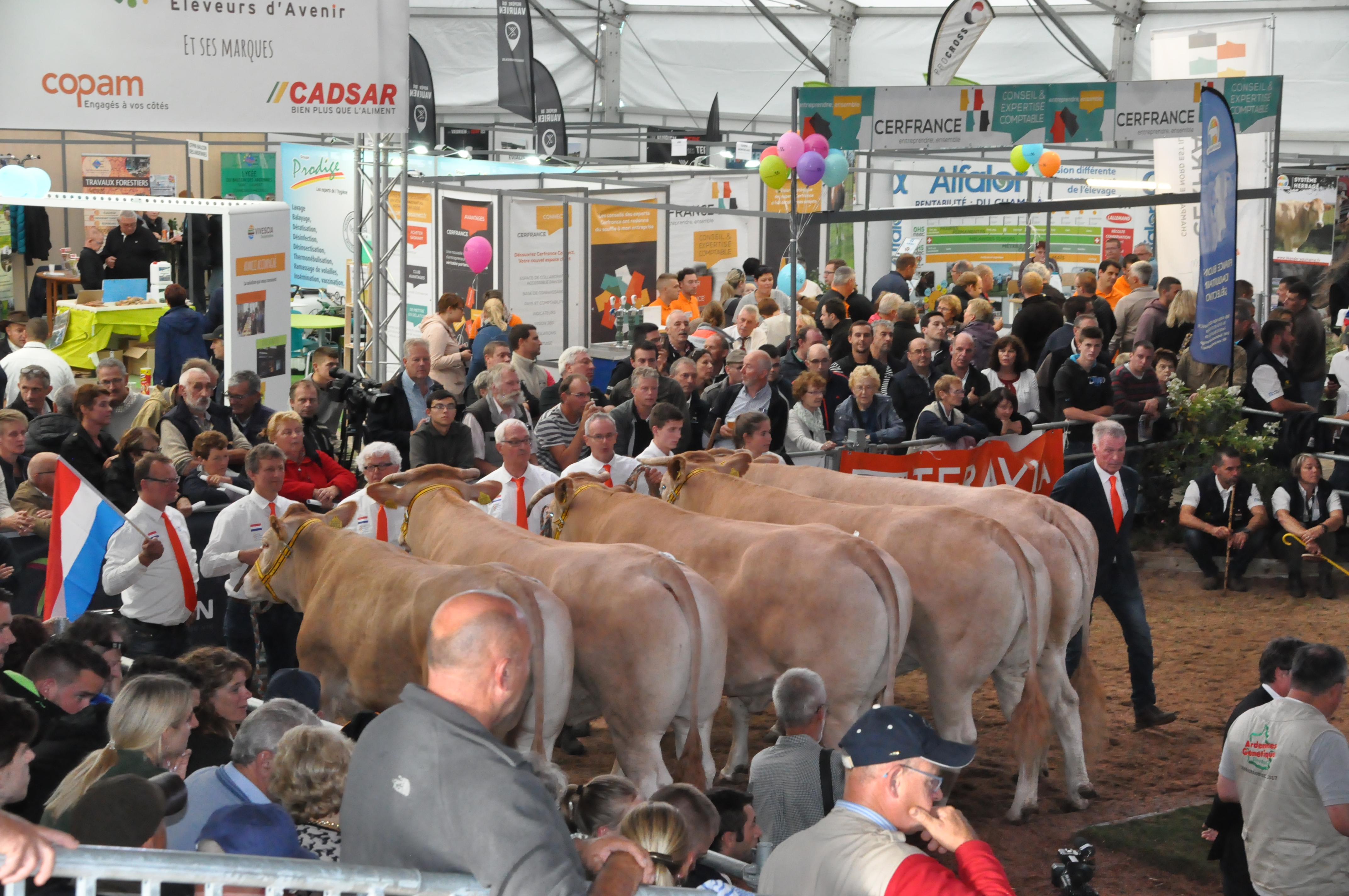 Gezellige en sfeervolle reünie van deelnemers en supporters EUROBLONDE 