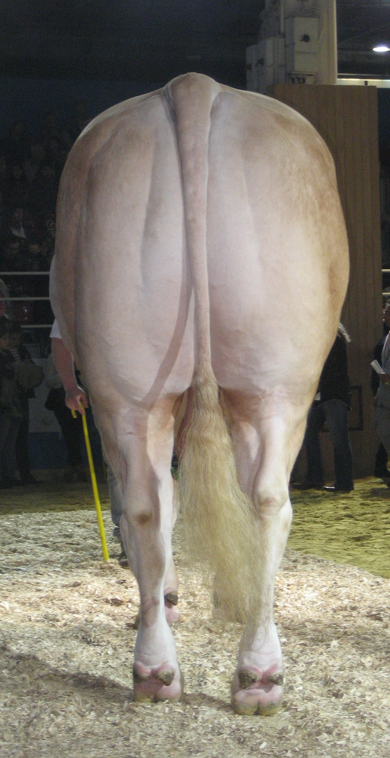 Opgave bedrijfsinspectie