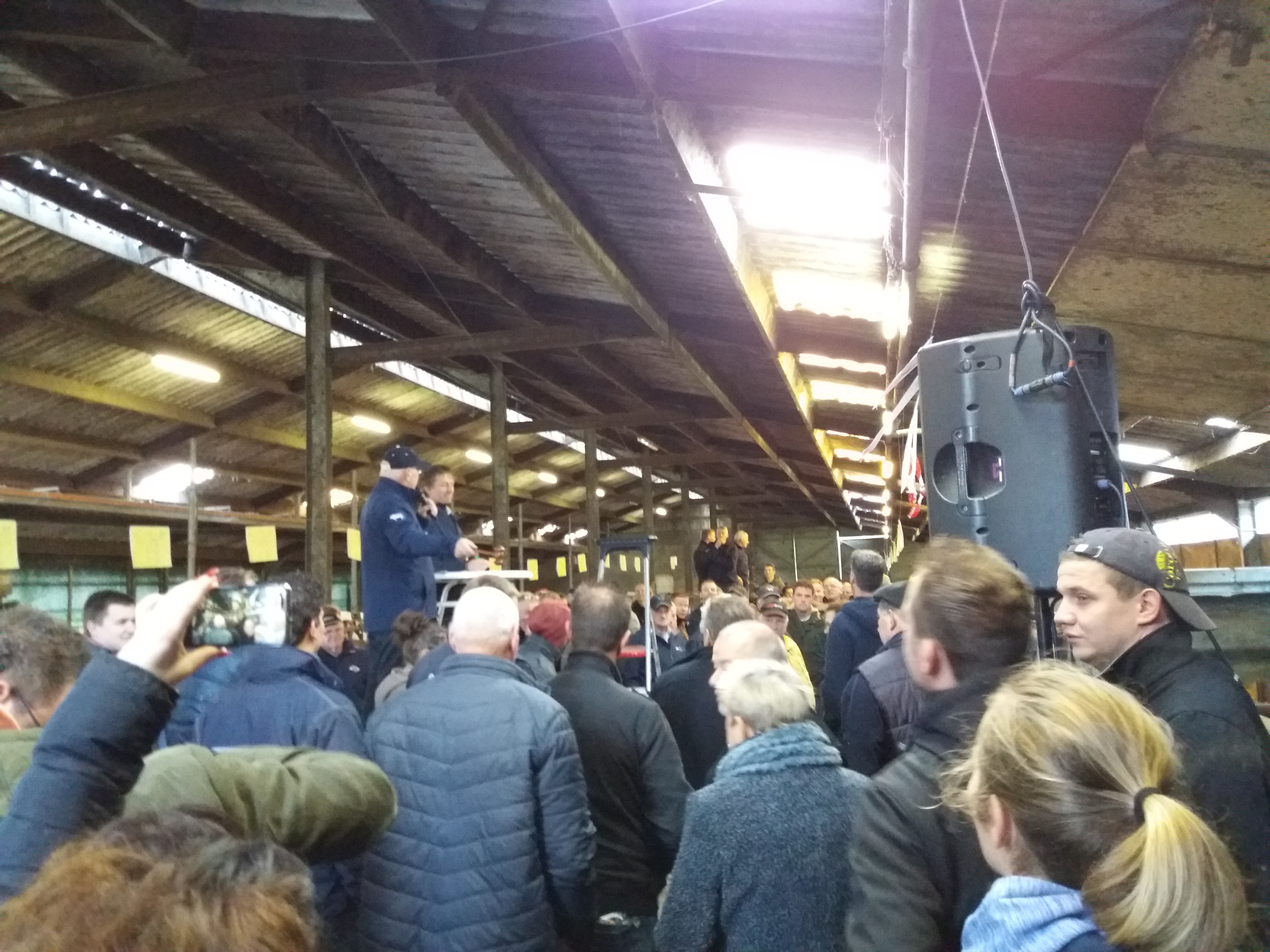 Veel bezoekers op de veiling van fokdieren de Roodheuvel