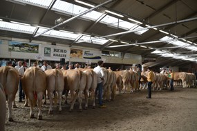 Marienheem 2016