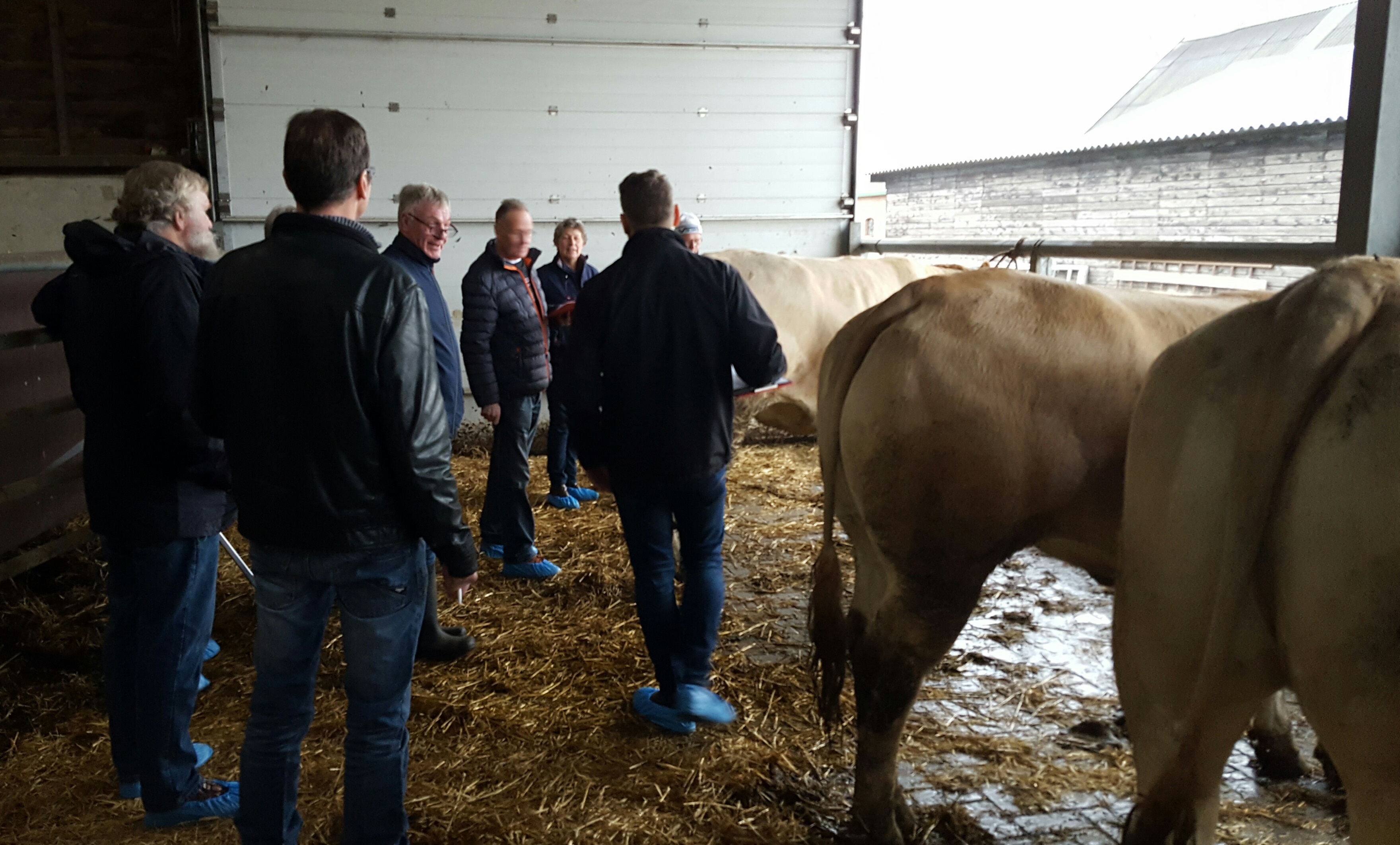 Uniformering inspectie en fokadviescommissie