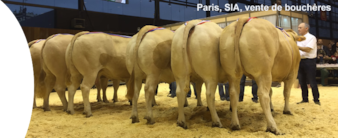 1-Paris%20SIA,%20vente%20bouche`res