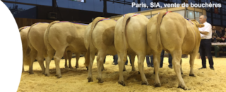 1-Paris%20SIA,%20vente%20bouche`res