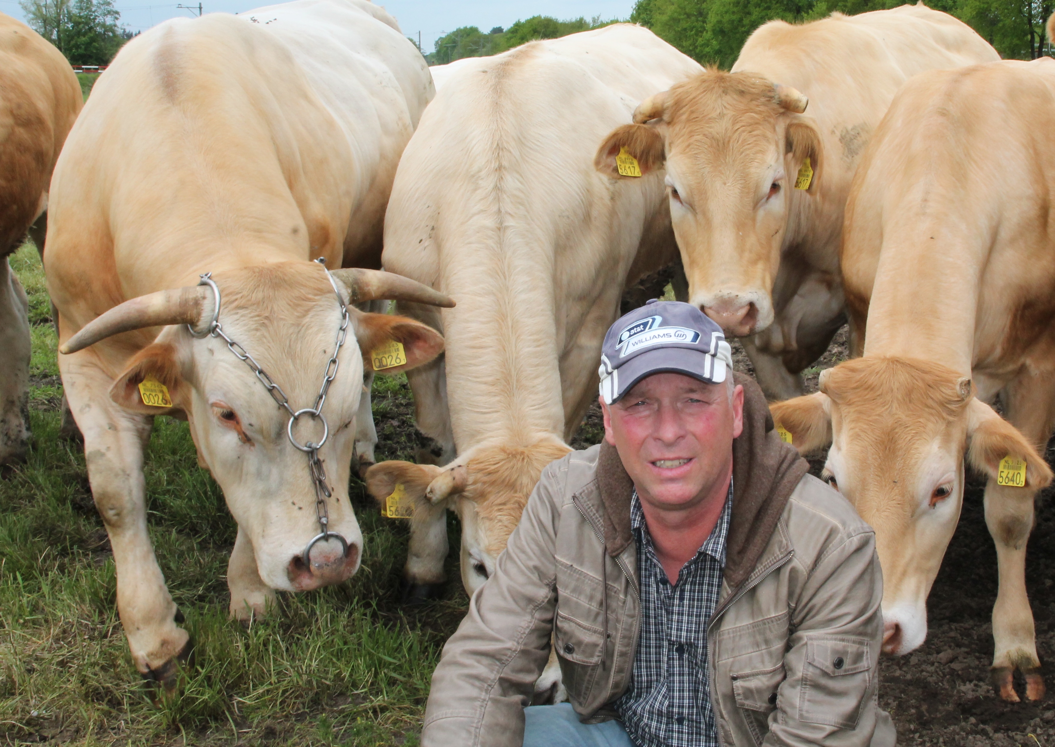 André van Dorresteijn opvolger Huub Oosterom in bestuur COT