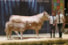 Hambroise - 