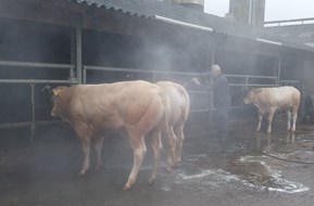 wassen 1