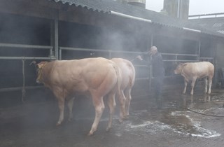 wassen 1