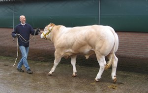 BAC Mysterie van de Woeste Hoeve