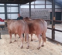 oefenen 3
