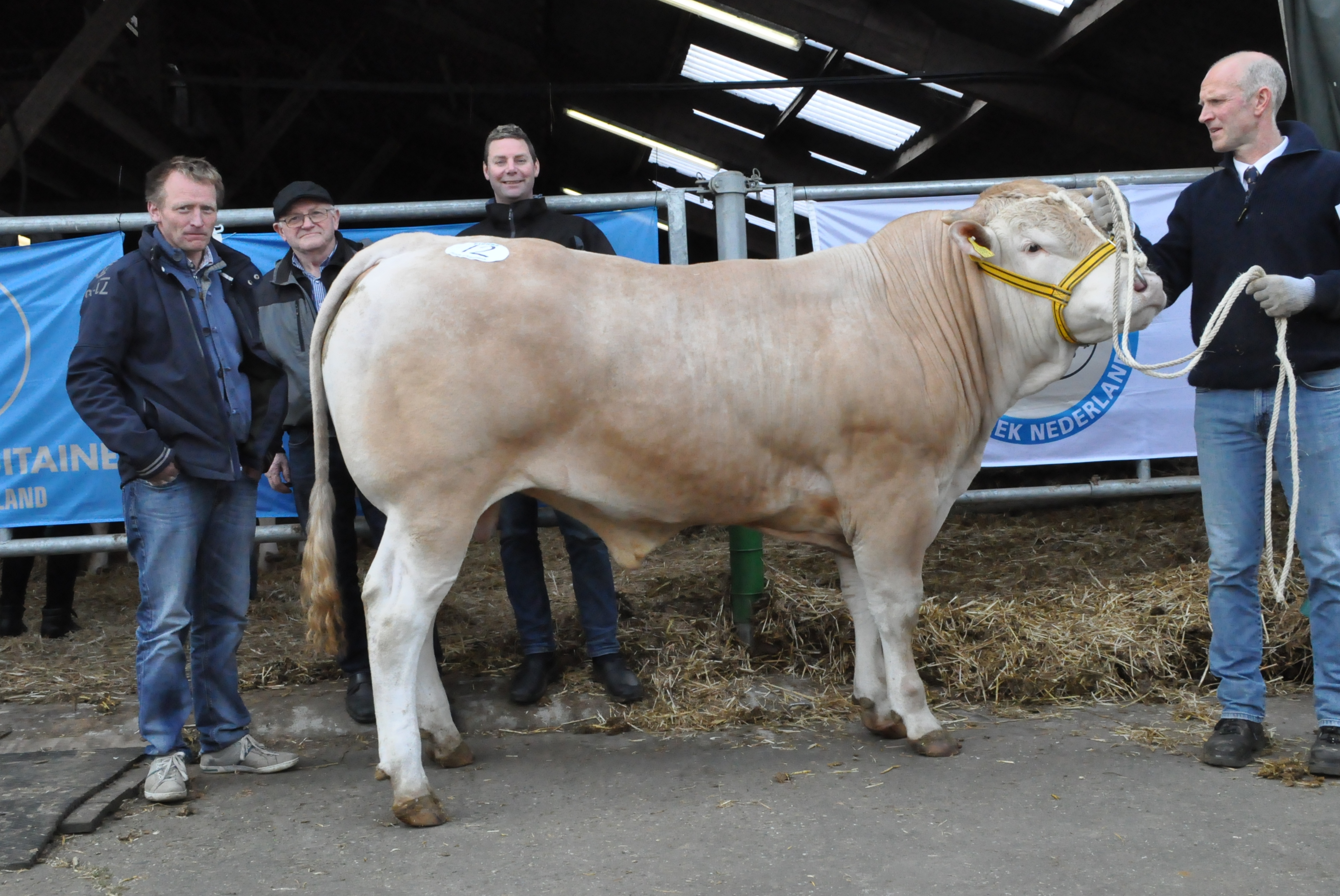 BAC Mysterie van de Woeste Hoeve veilingtopper op de voorjaarsveiling bij het COT