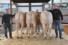 3 toppers