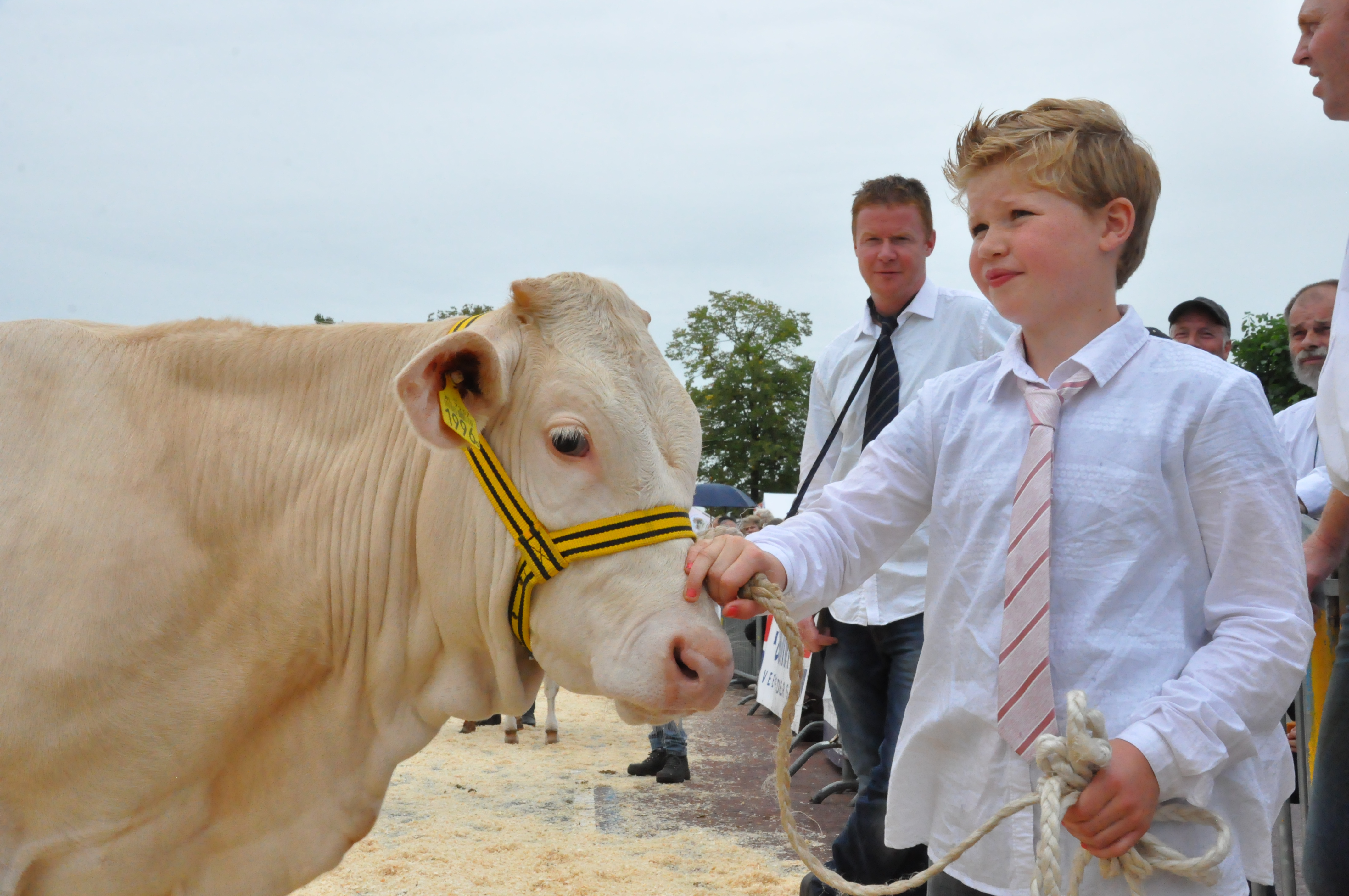 'Jong en gek op Blond' neemt een kijkje bij Veerle Cuypers