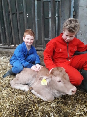 Veerle thuis met Cas en kalf