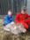 Veerle thuis met Cas en kalf