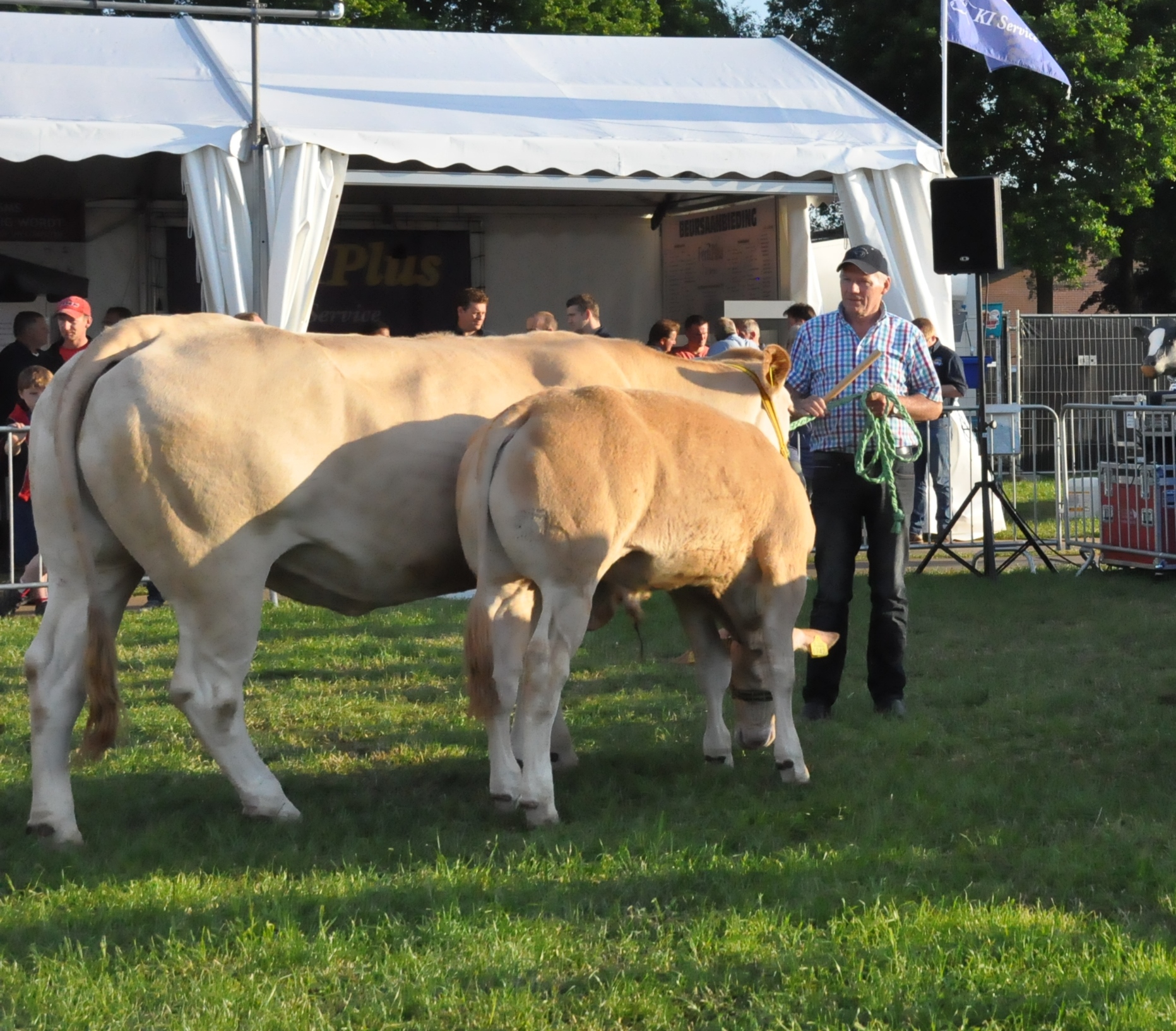Genomineerden Blonde Award bekend UPDATE*