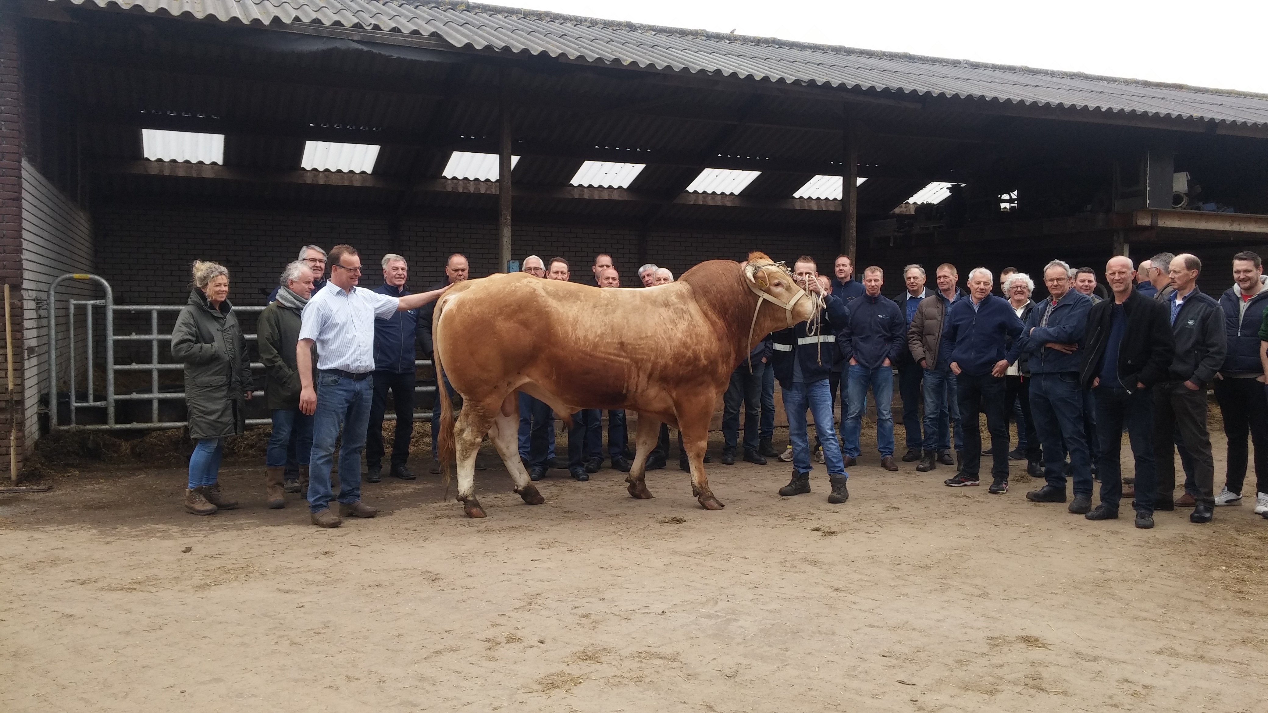 Blonde d'Aquitaine fokkers op bedrijfsbezoek