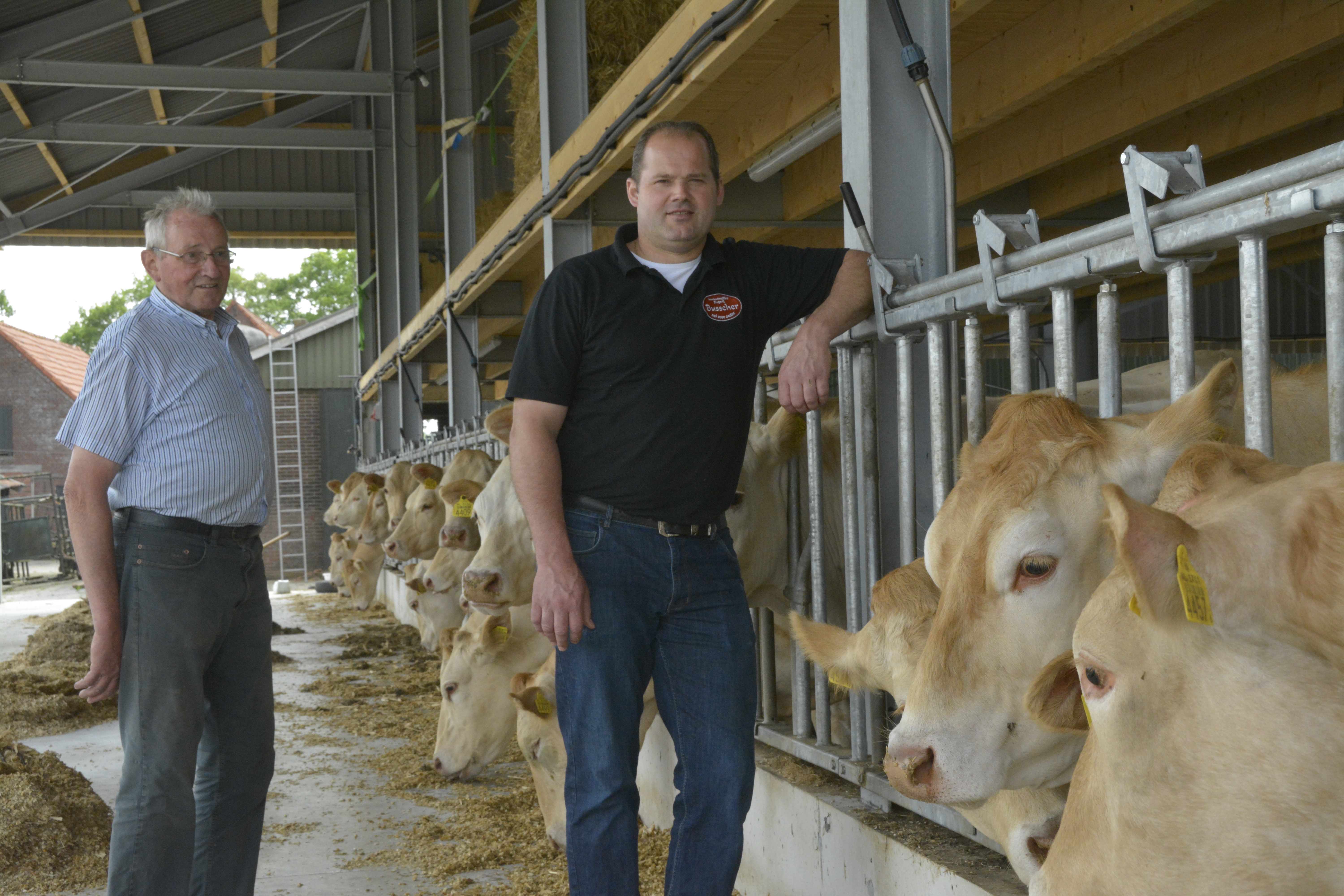 Ivo en Gerrit Busscher richten zich op luxe vleesvee