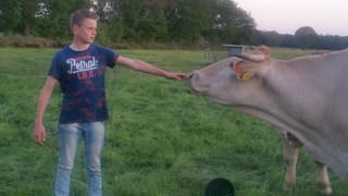 Jelte Veelers 3