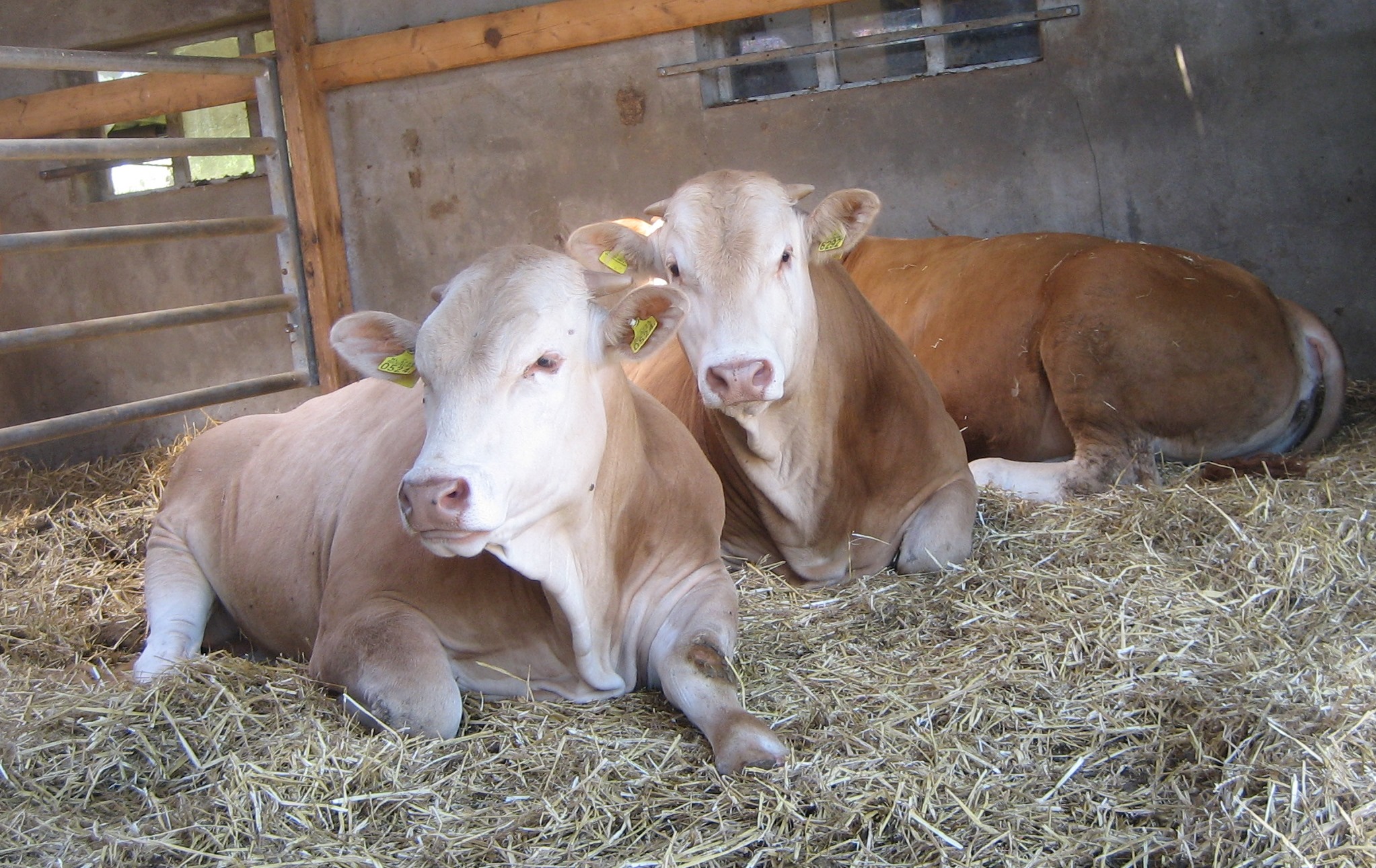 Hoe is het op het COT