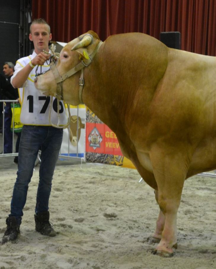 Jannes Kip in VeeteeltVlees