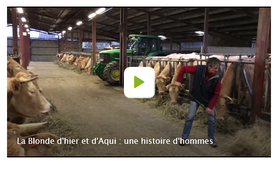 Film: Blonde d’hier et d’Aqui 