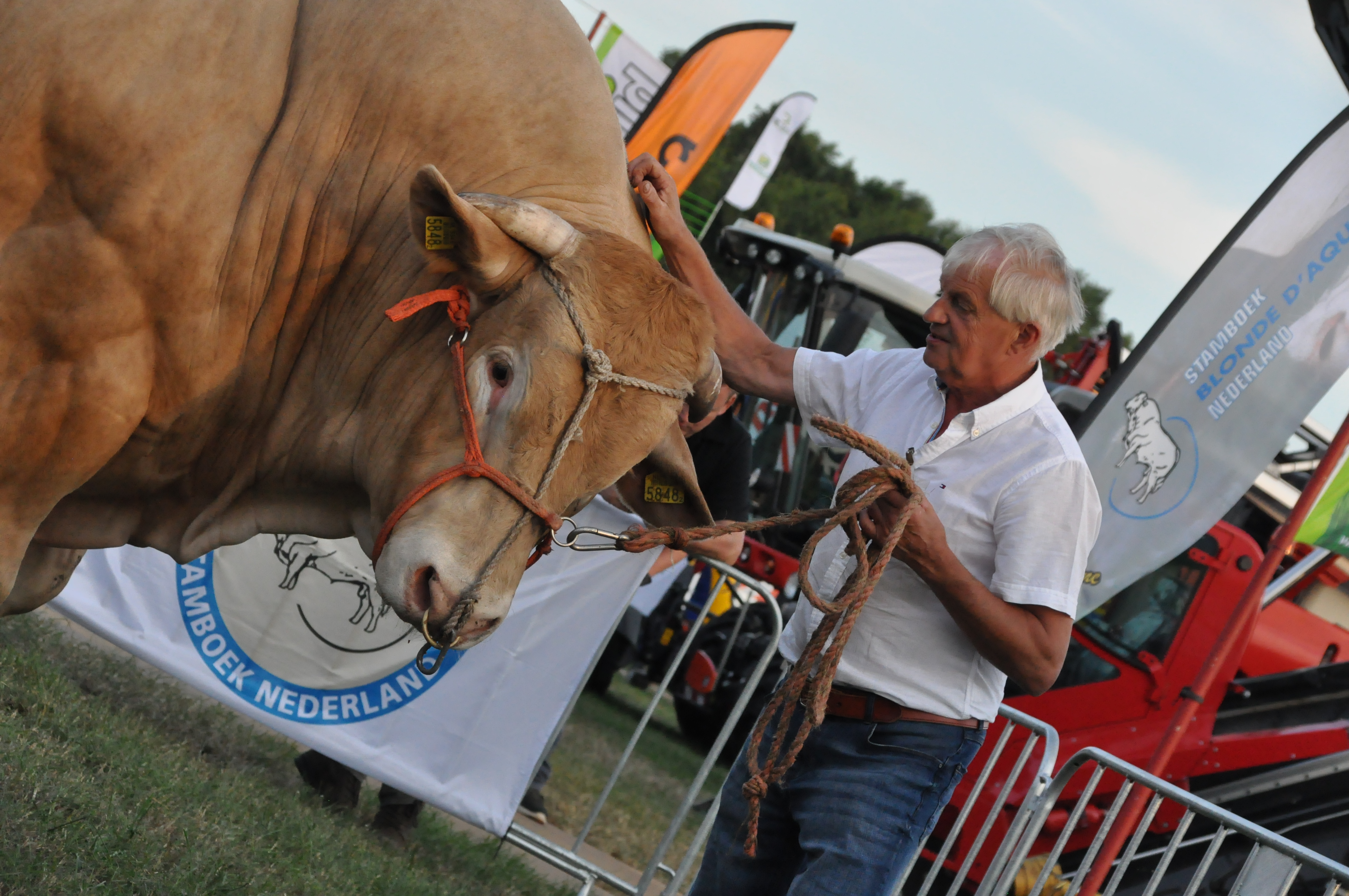 Terugblik met foto's symposium 'Met goede Blondes boer je beter!'