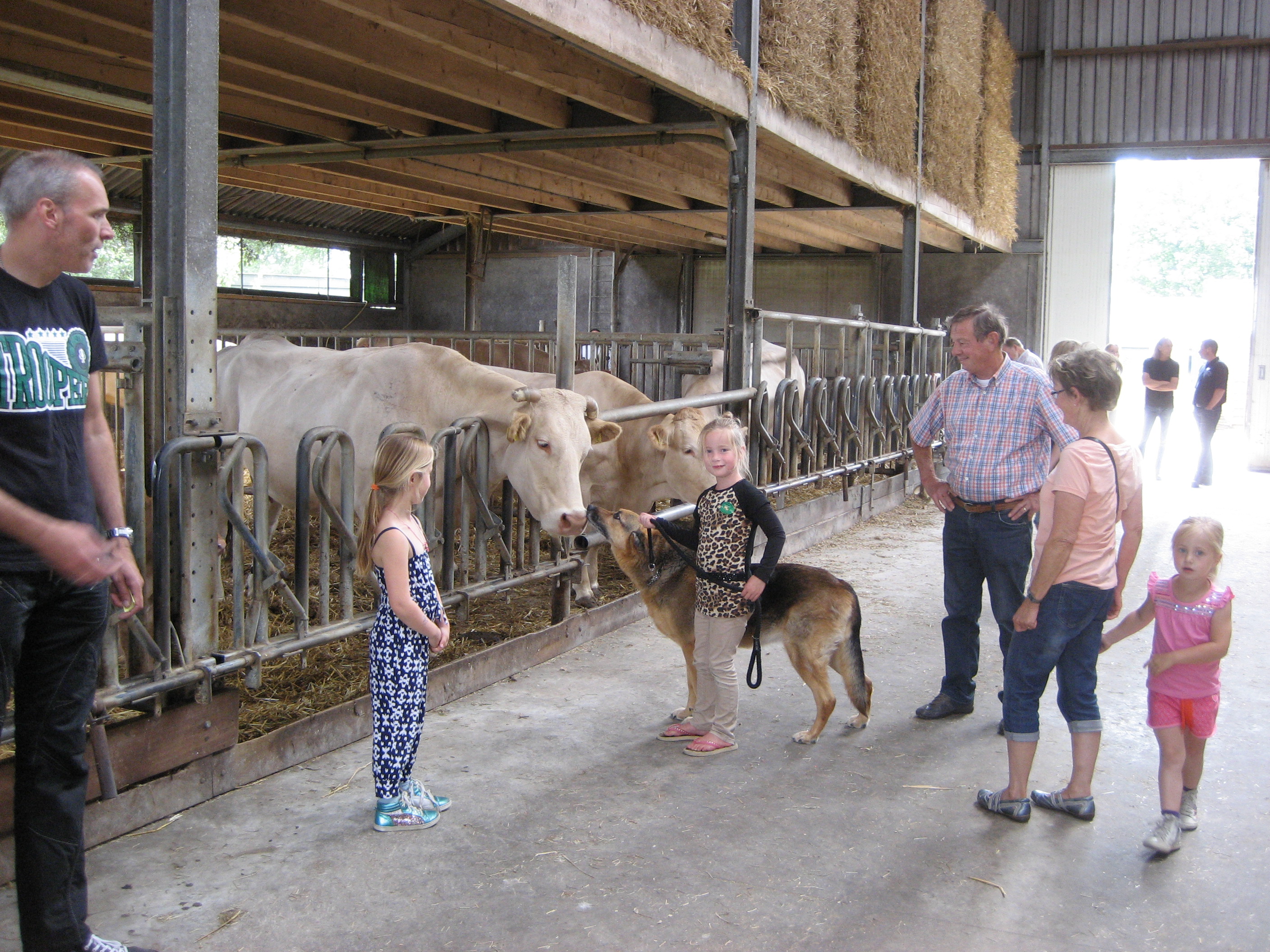 Altijd al een keertje willen doen...