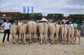kampioenen Enter 2018