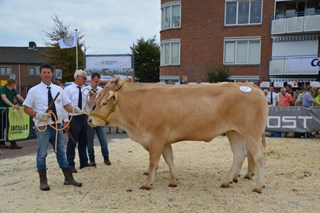 DSC_0801 Res.kamp. 3j. en ouder nr.47