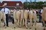 DSC_0752 bedrijfsgroep Blaauw