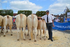 DSC_0747 bedrijfsgroep Busch