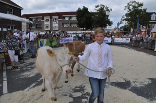 Veerle Cuypers