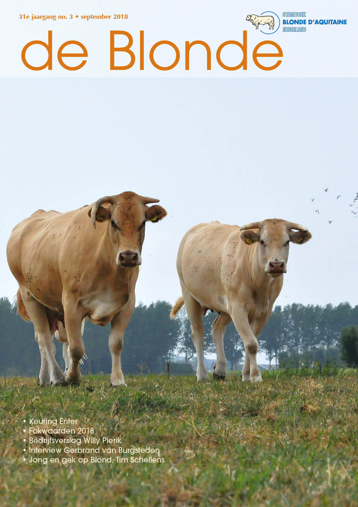 In de Blonde van september