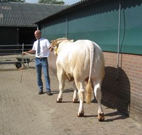 wassen 3