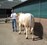wassen 3