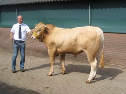 wassen 4