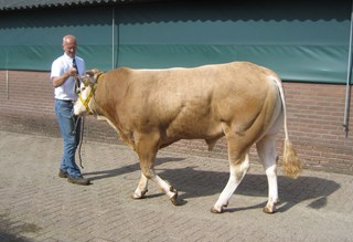 wassen 5