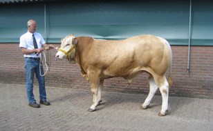 wassen 7