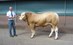 wassen 7