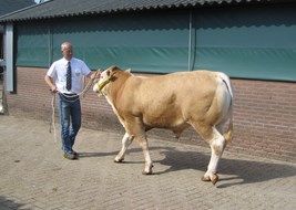 wassen 8