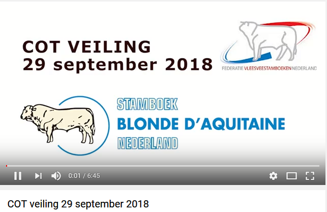 Video van de BAC-veilingstieren op het COT
