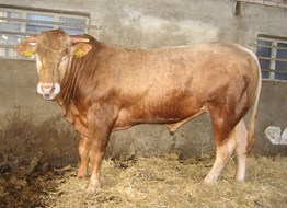 oefenrondje 3