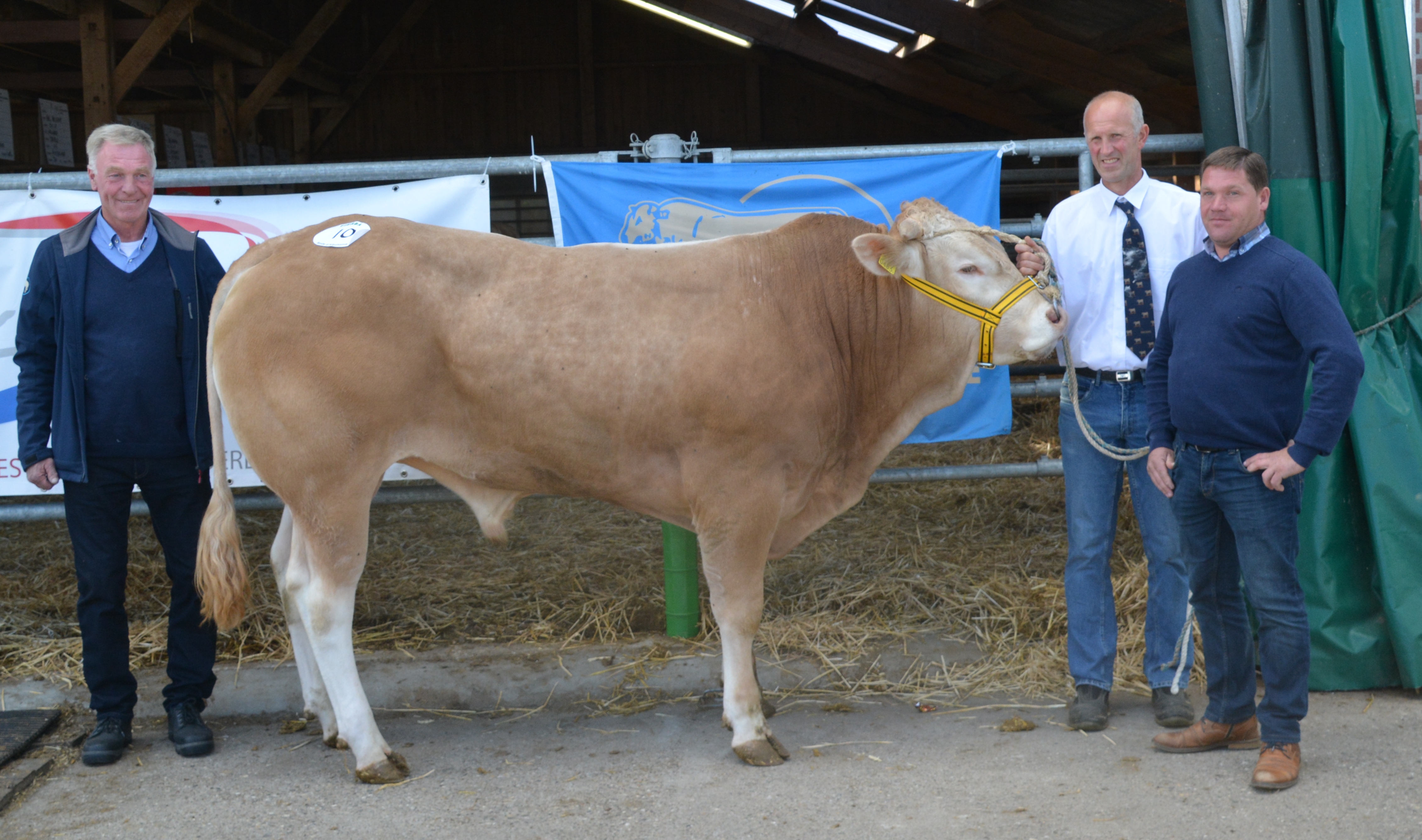 Veilingtopper BAC Nimo naar België